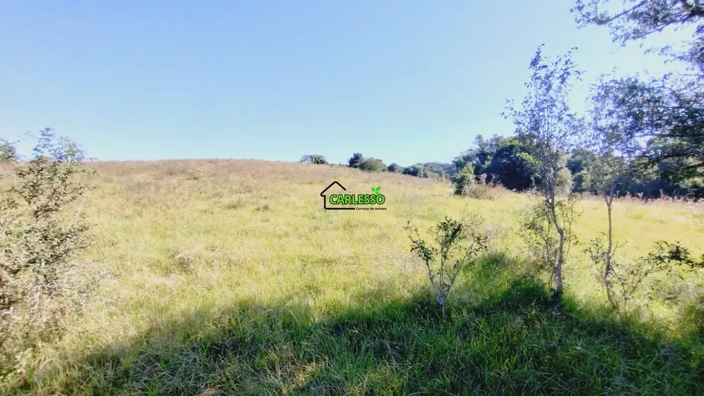 Sítio, 28 hectares - Foto 14
