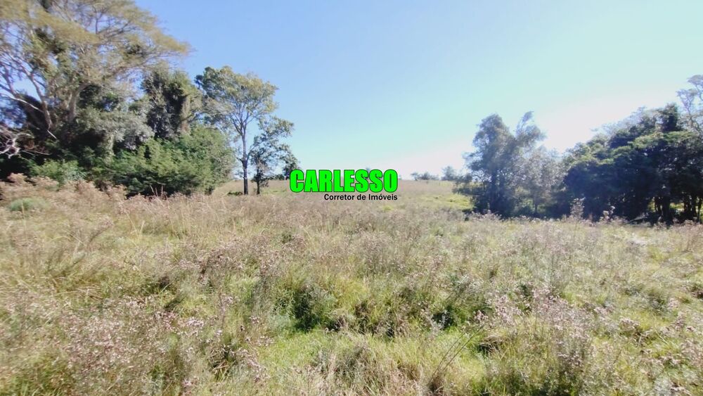 Fazenda, 28 hectares - Foto 1