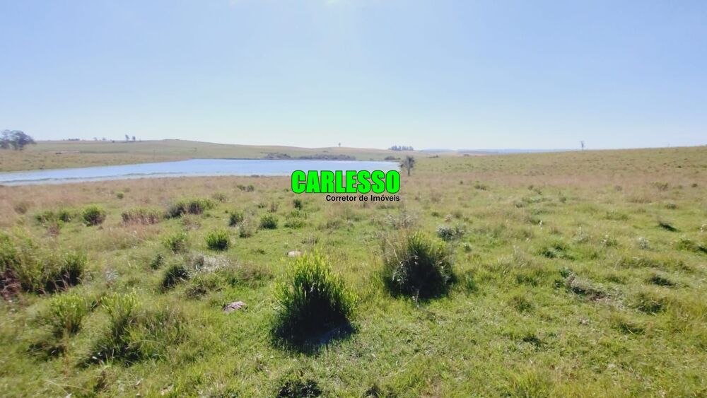 Fazenda, 28 hectares - Foto 3