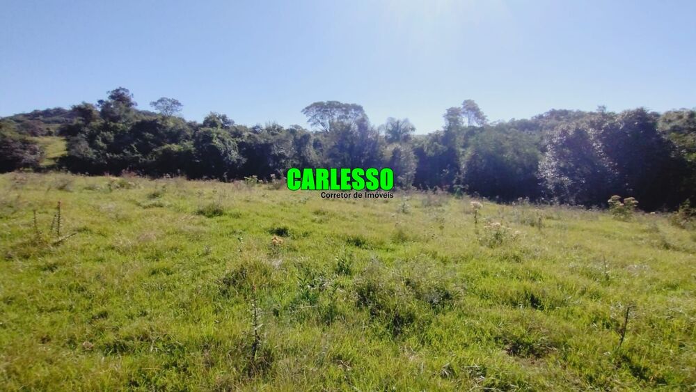 Fazenda, 28 hectares - Foto 4