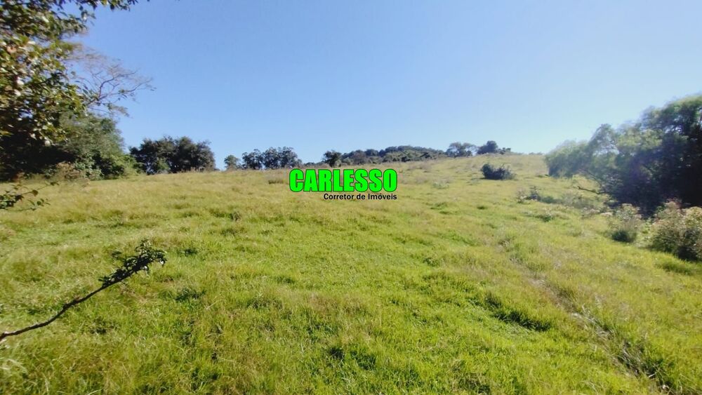 Fazenda, 28 hectares - Foto 2