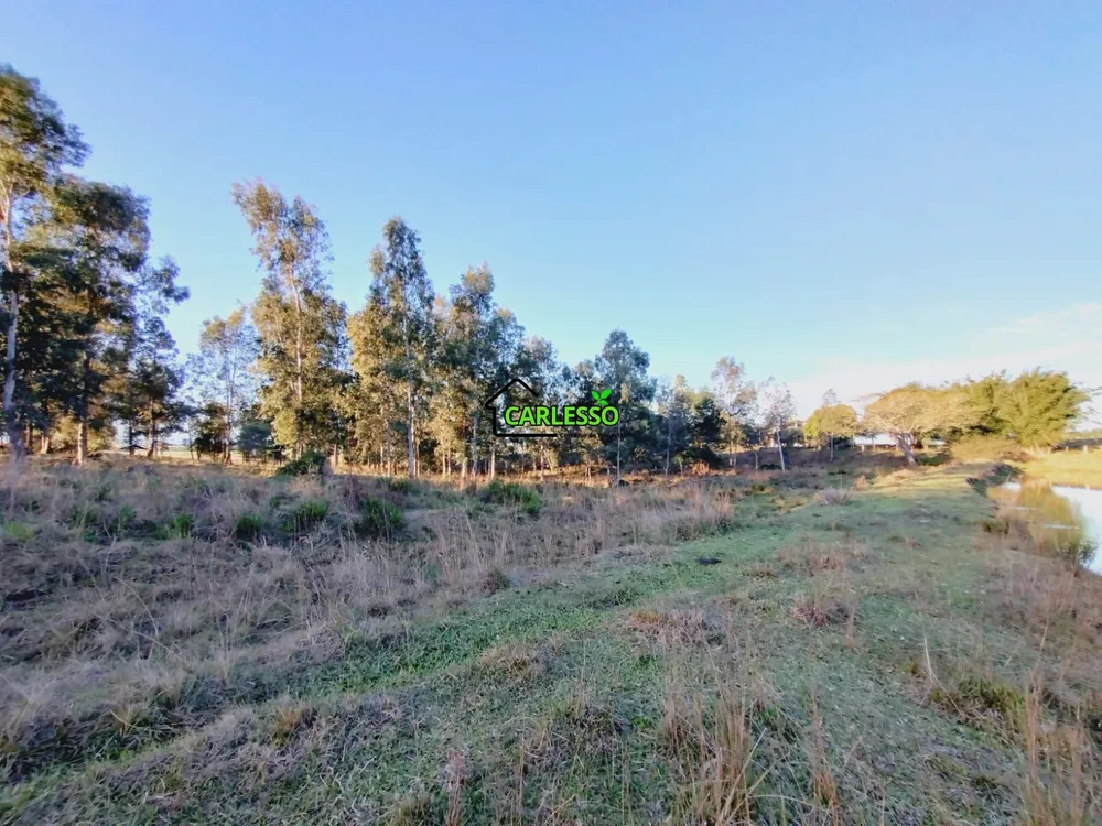 Sítio, 3 quartos, 7 hectares - Foto 13