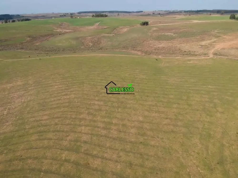 Fazenda, 511 hectares - Foto 7