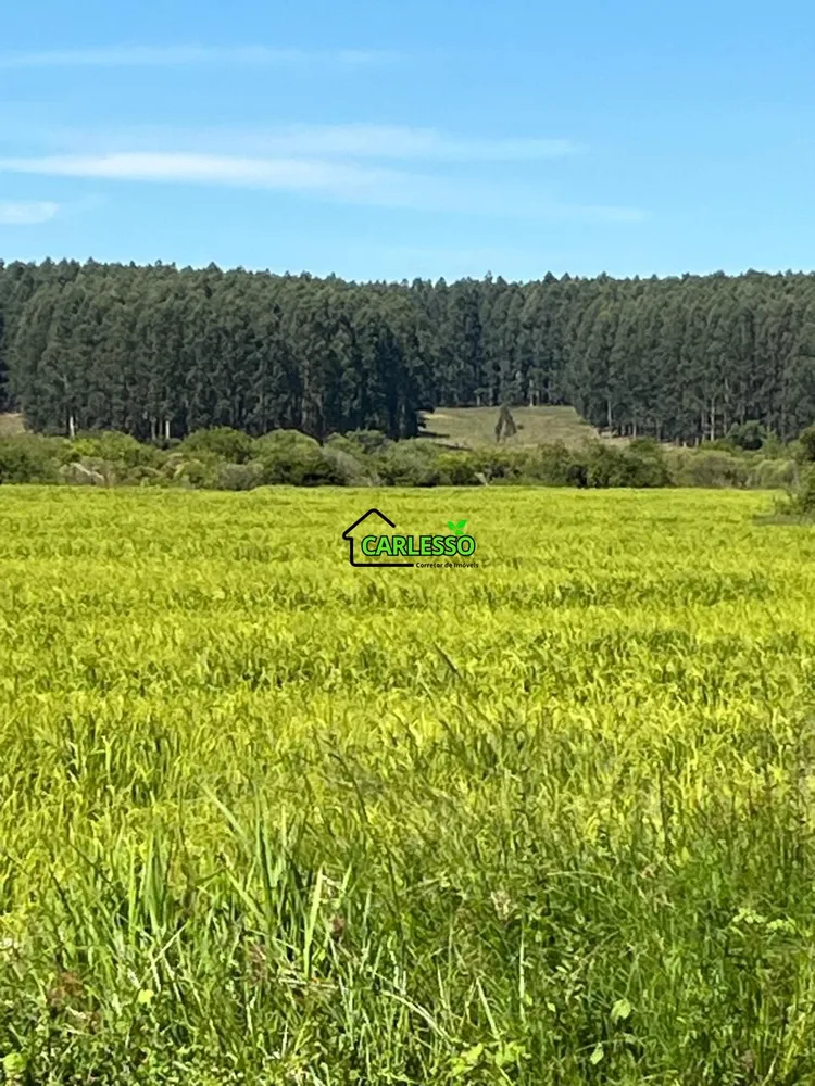 Fazenda, 511 hectares - Foto 8
