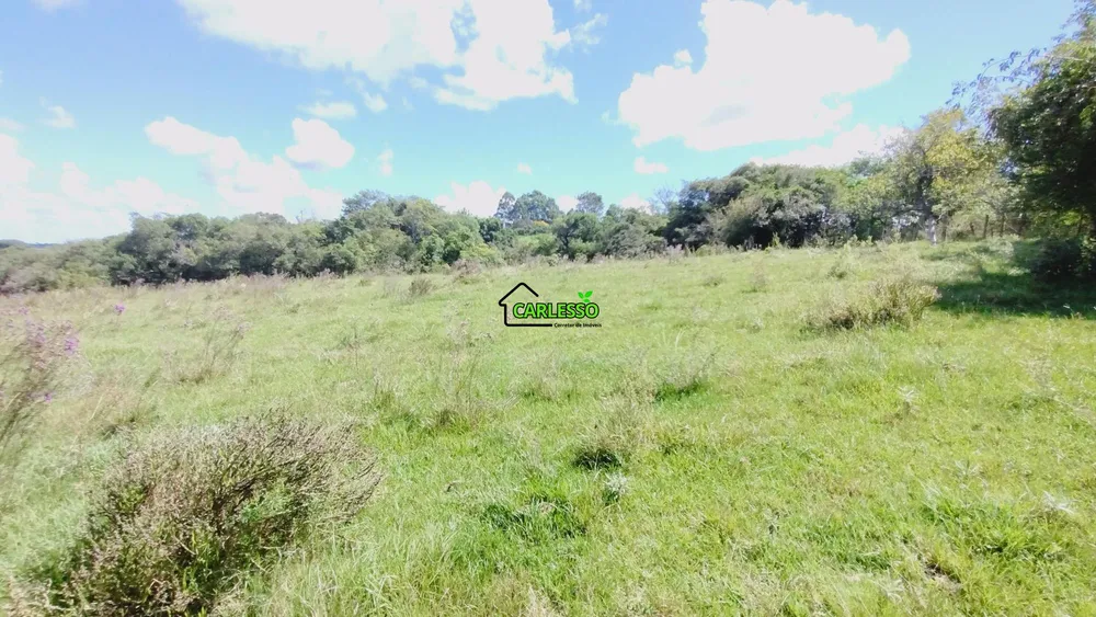Sítio, 27 hectares - Foto 11