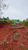 Terreno, 2000 m² - Foto 4