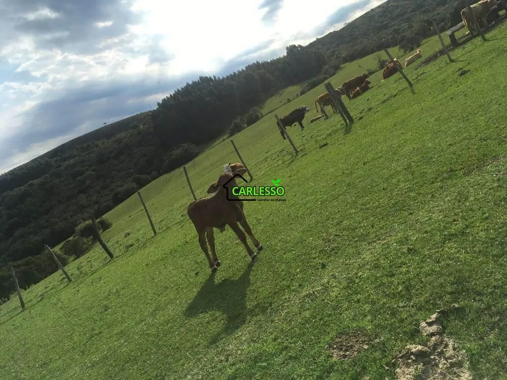Fazenda, 576 hectares - Foto 1