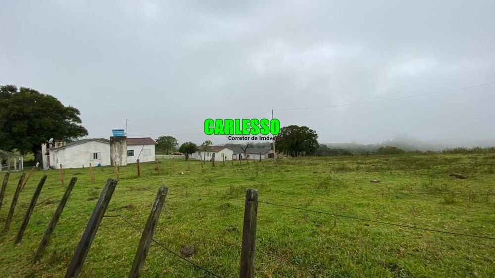 Fazenda, 576 hectares - Foto 10