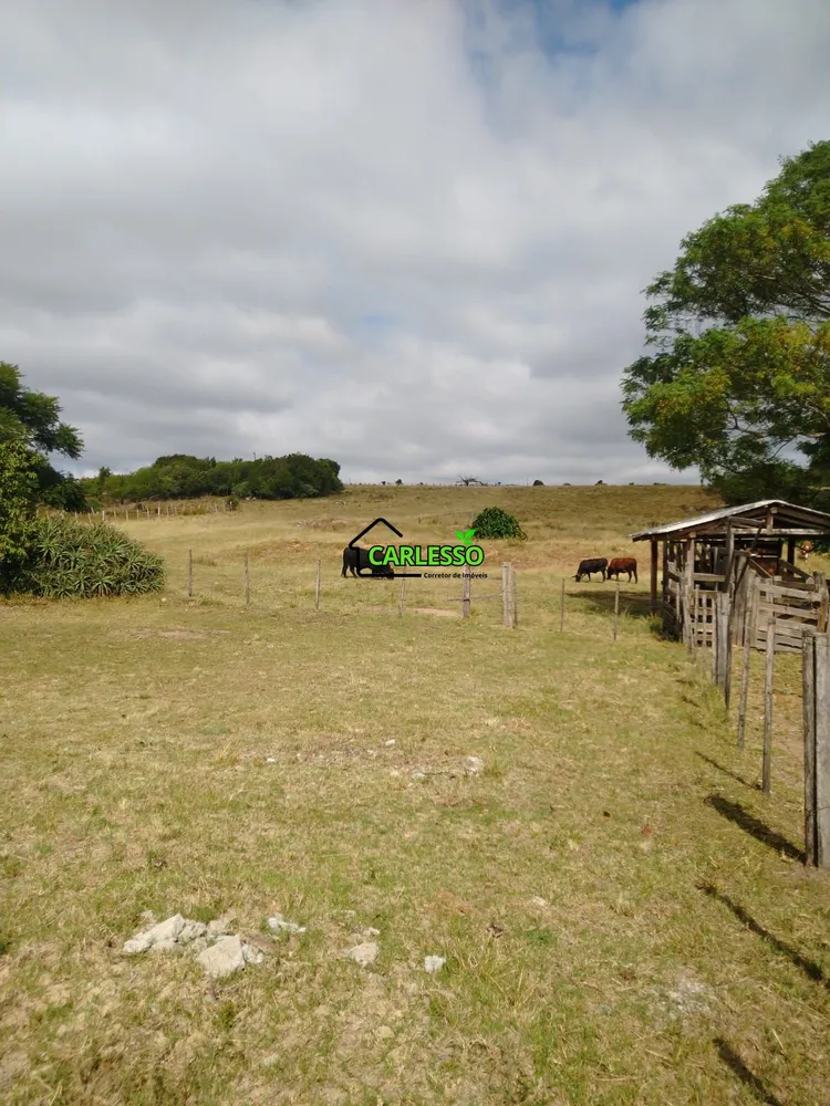 Chácara, 2 quartos, 39 hectares - Foto 6