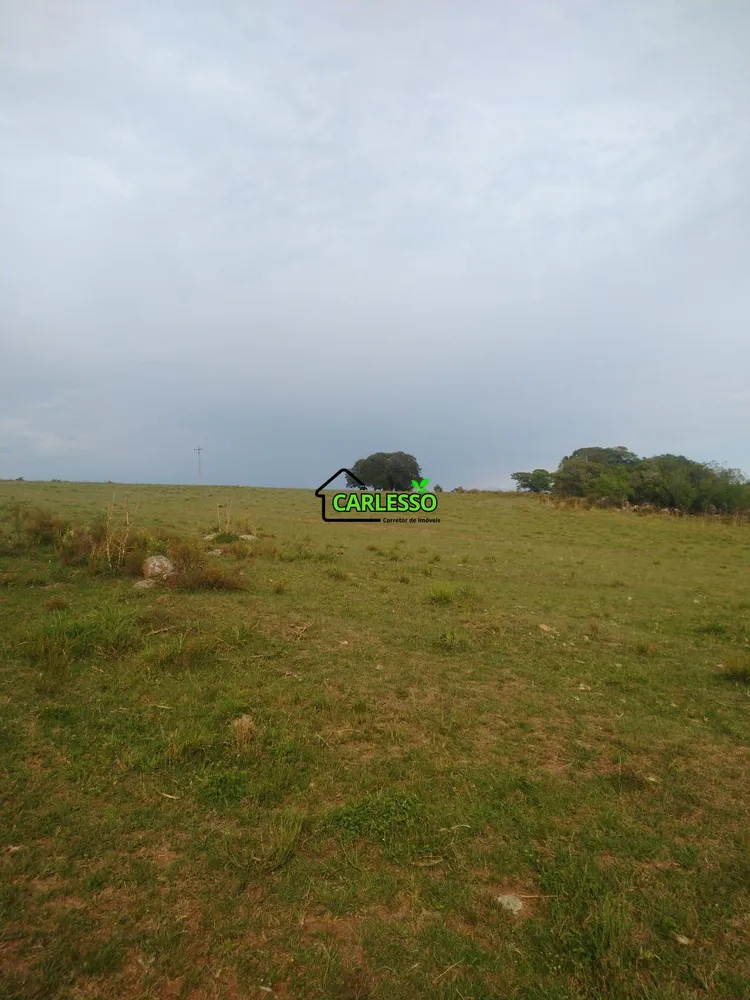 Chácara, 2 quartos, 39 hectares - Foto 11