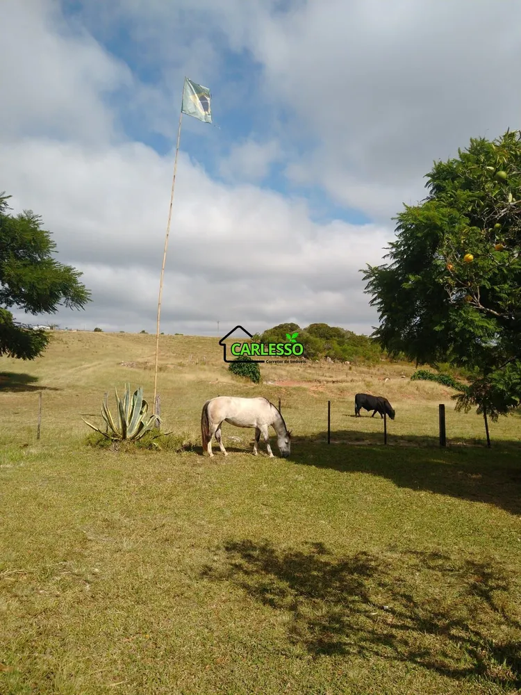 Chácara, 2 quartos, 39 hectares - Foto 5