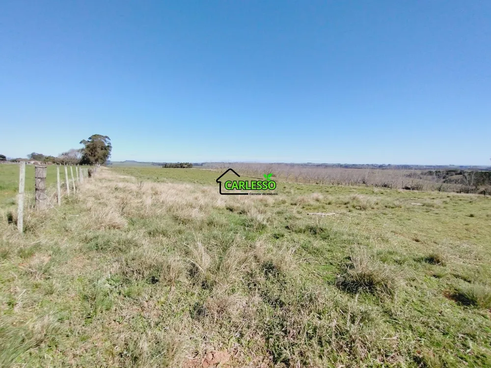 Sítio, 3 quartos, 12 hectares - Foto 13