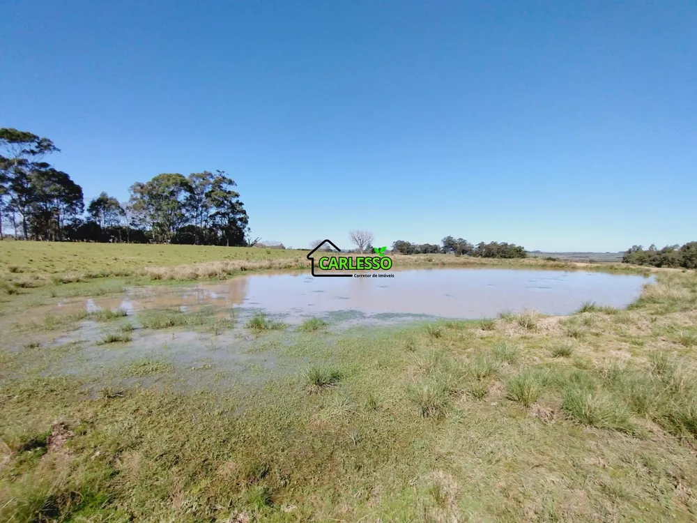 Sítio, 3 quartos, 12 hectares - Foto 4