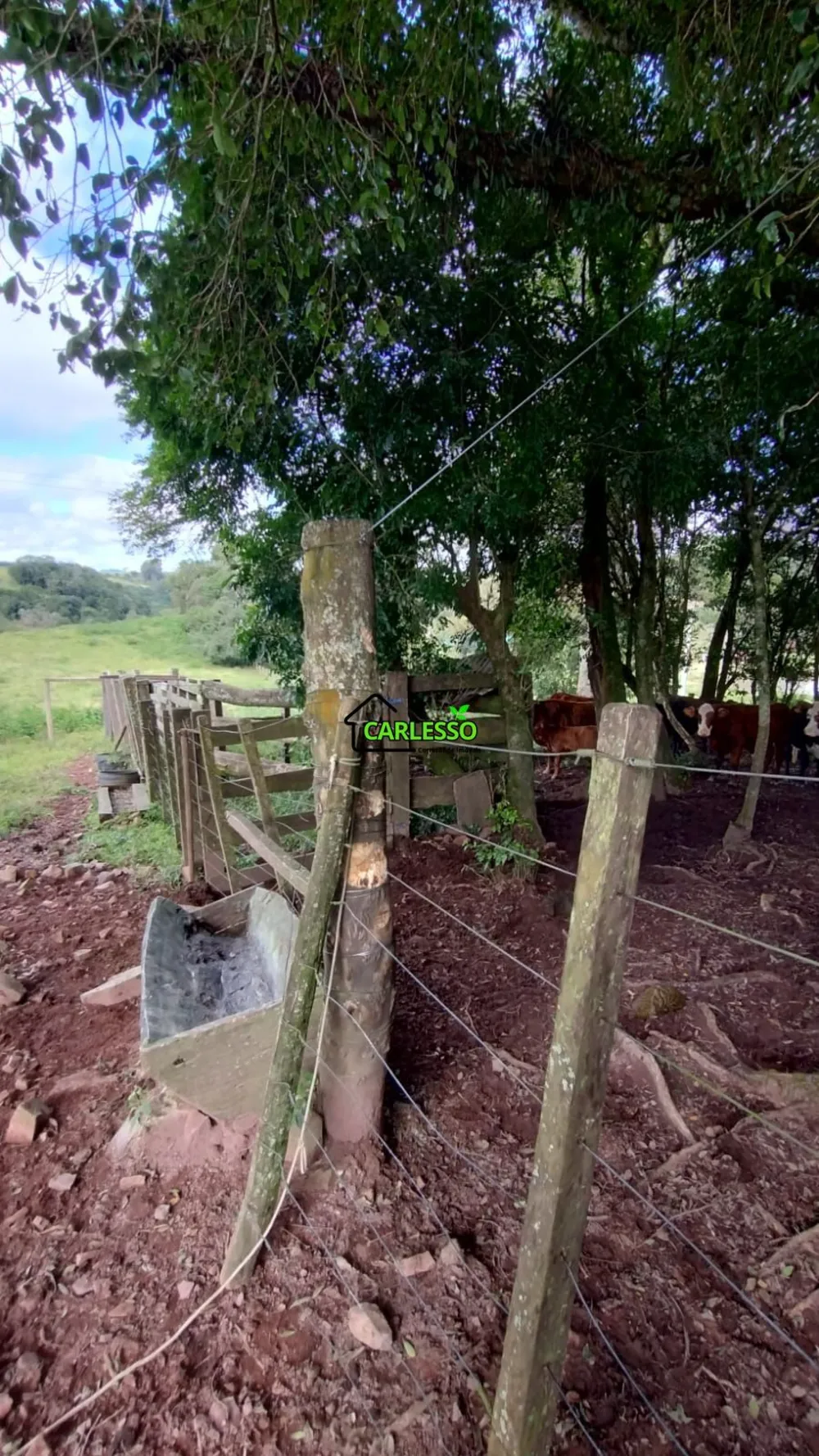 Terreno, 960 m² - Foto 5