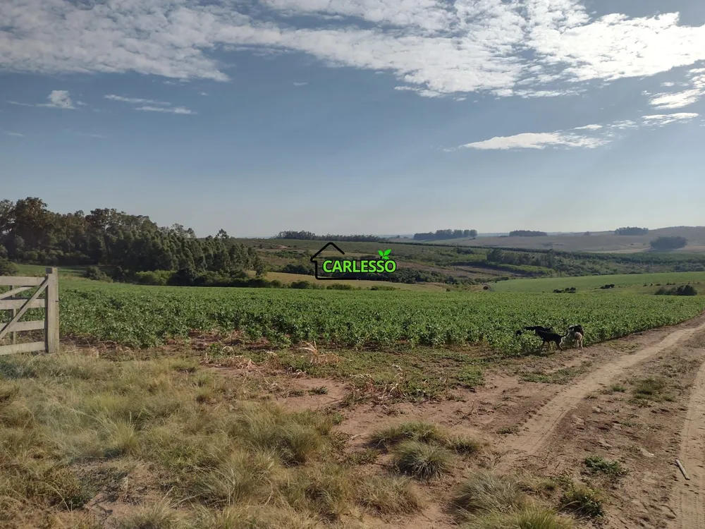 Fazenda, 63 hectares - Foto 2