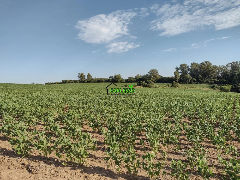 Fazenda, 63 hectares - Foto 10