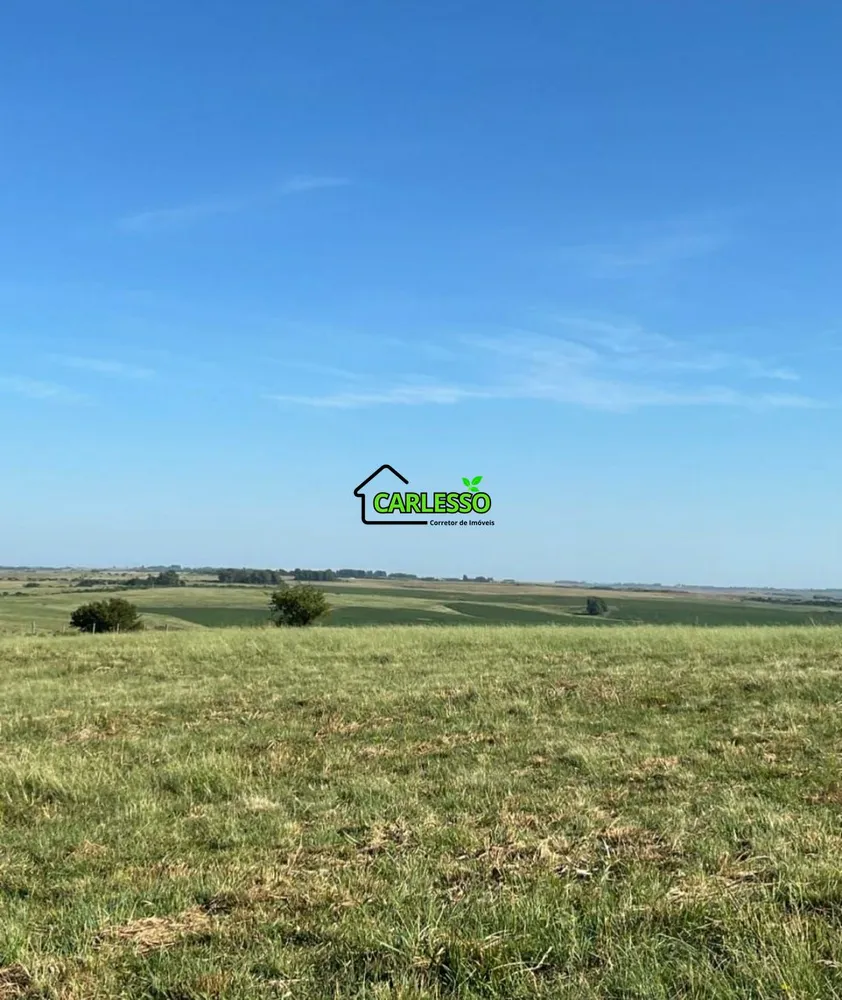 Fazenda, 120 m² - Foto 6