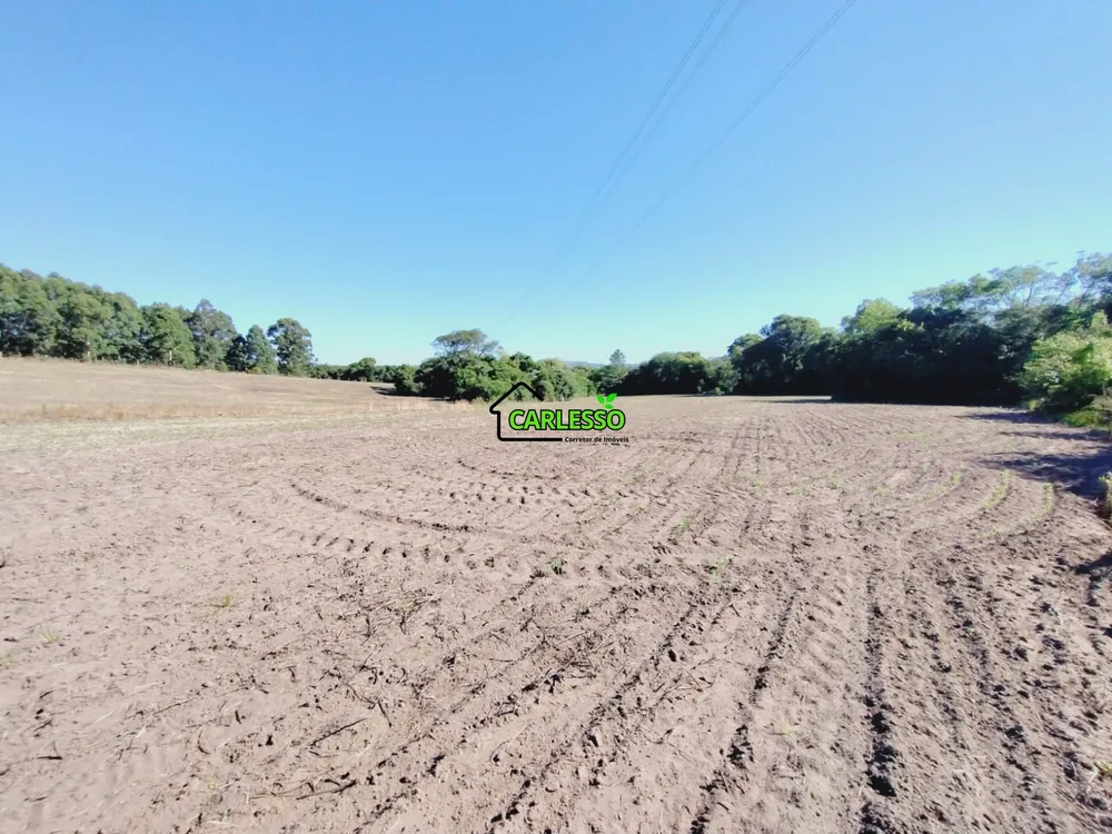 Sítio, 9 hectares - Foto 10