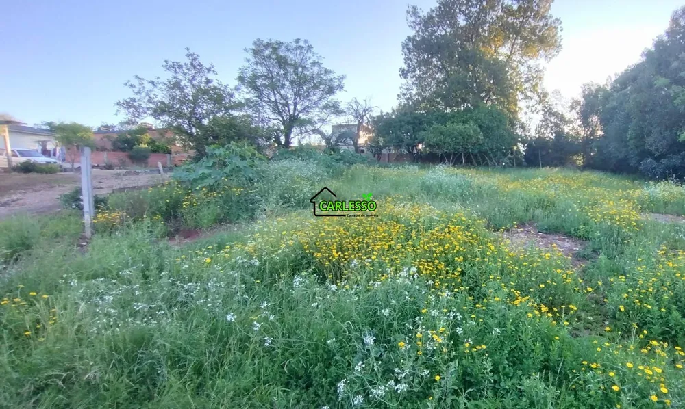 Terreno, 645 m² - Foto 5