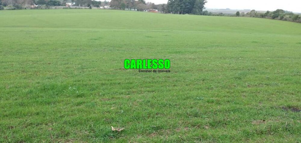 Loteamento e Condomínio à venda, 130000m² - Foto 4