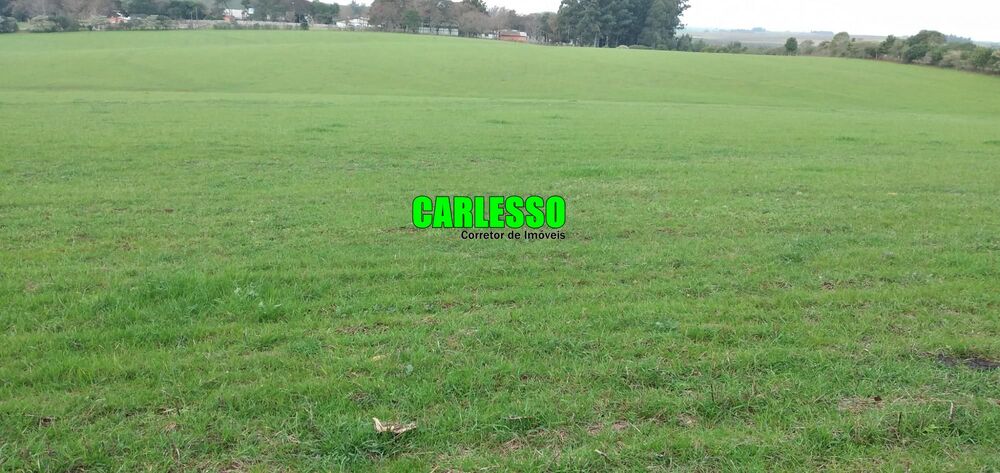 Loteamento e Condomínio à venda, 130000m² - Foto 1