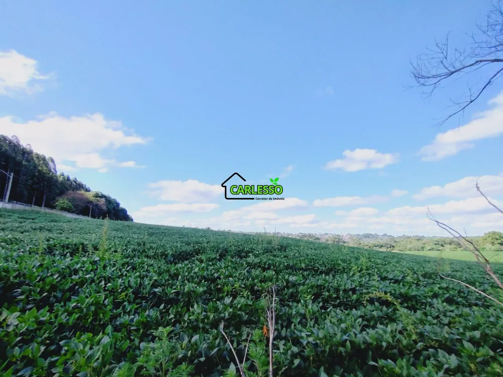 Terreno, 13 hectares - Foto 7