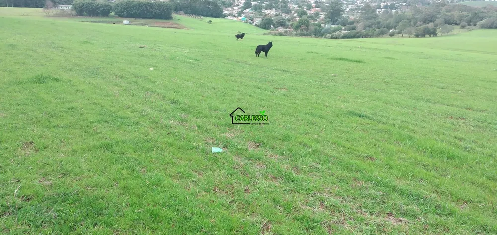 Terreno, 13 hectares - Foto 15