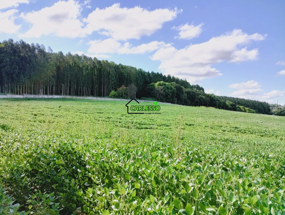 Terreno, 13 hectares - Foto 10