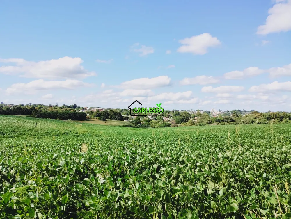 Terreno, 13 hectares - Foto 8