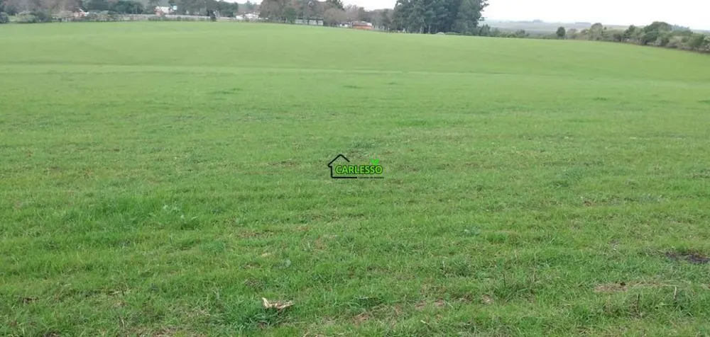 Terreno, 13 hectares - Foto 17