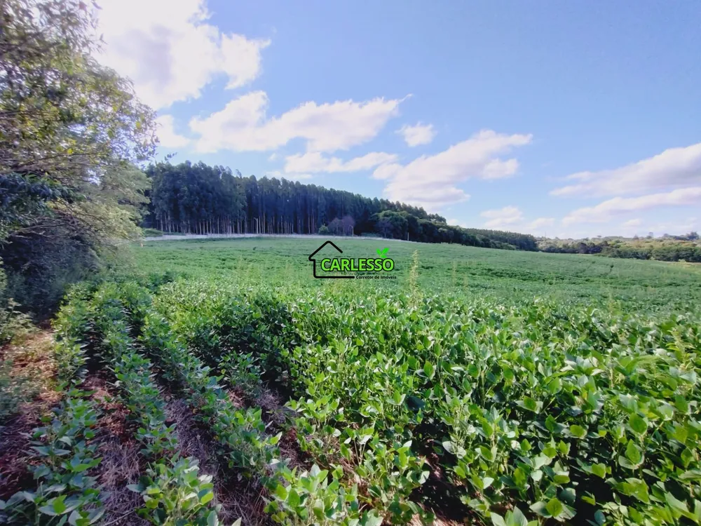 Terreno, 13 hectares - Foto 13