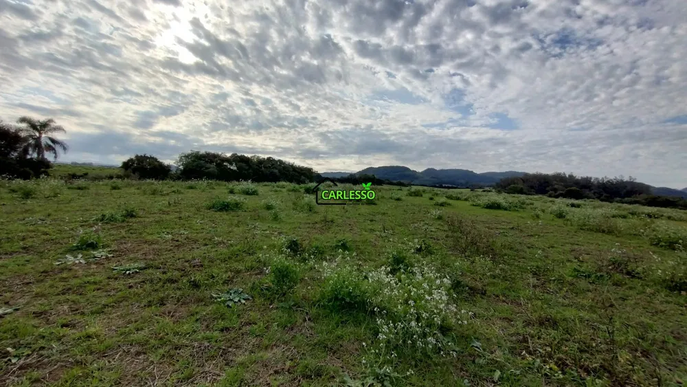 Sítio, 25 hectares - Foto 7