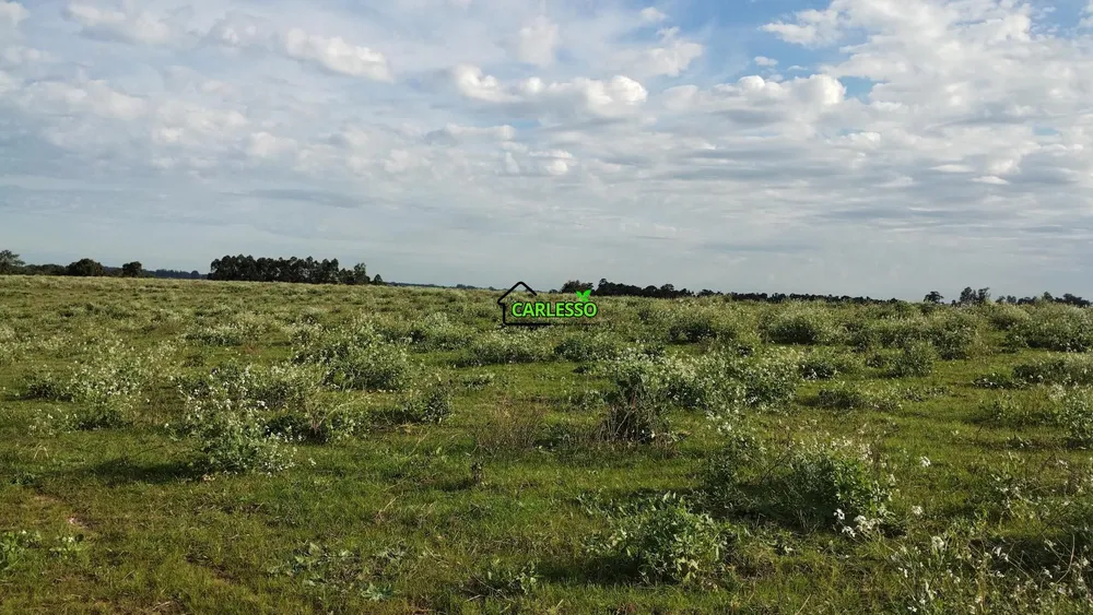 Sítio, 25 hectares - Foto 15