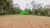 Loteamento e Condomínio, 7 hectares - Foto 1