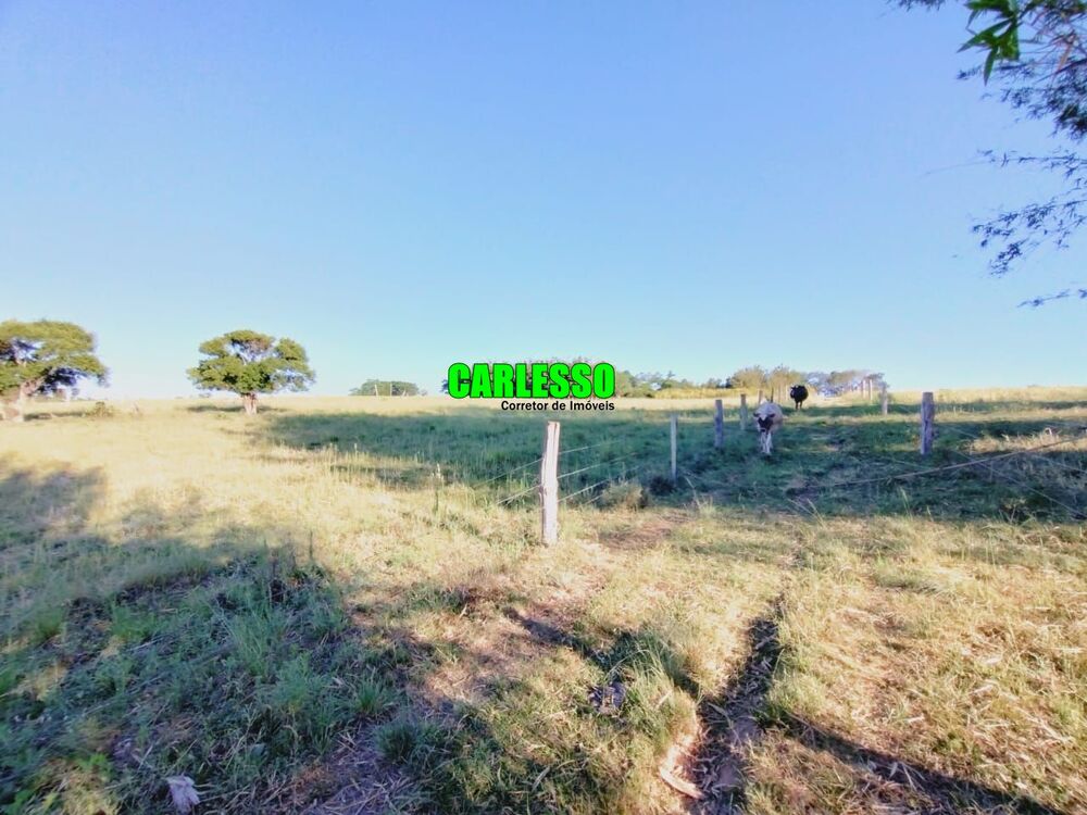 Chácara, 3 quartos, 5 hectares - Foto 2