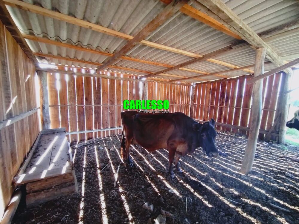 Chácara, 3 quartos, 5 hectares - Foto 3