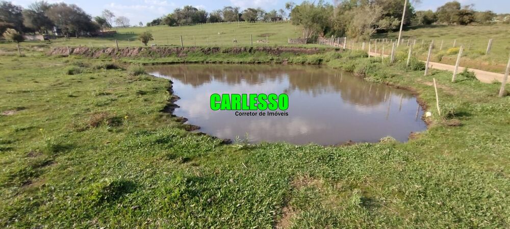 Terreno, 5 hectares - Foto 2
