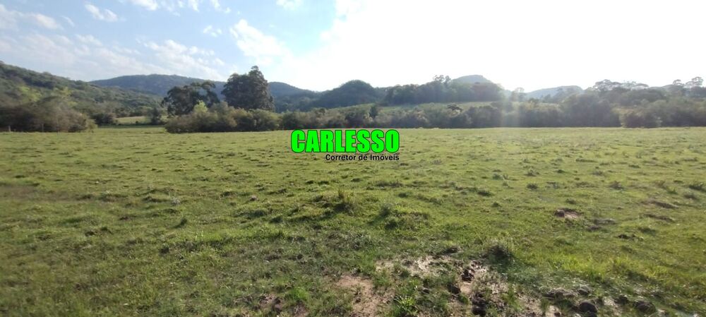 Terreno, 5 hectares - Foto 1