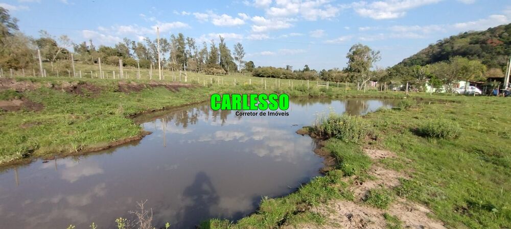 Terreno, 5 hectares - Foto 4