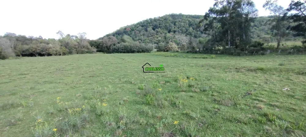 Terreno, 5 hectares - Foto 13