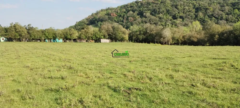 Terreno, 5 hectares - Foto 12