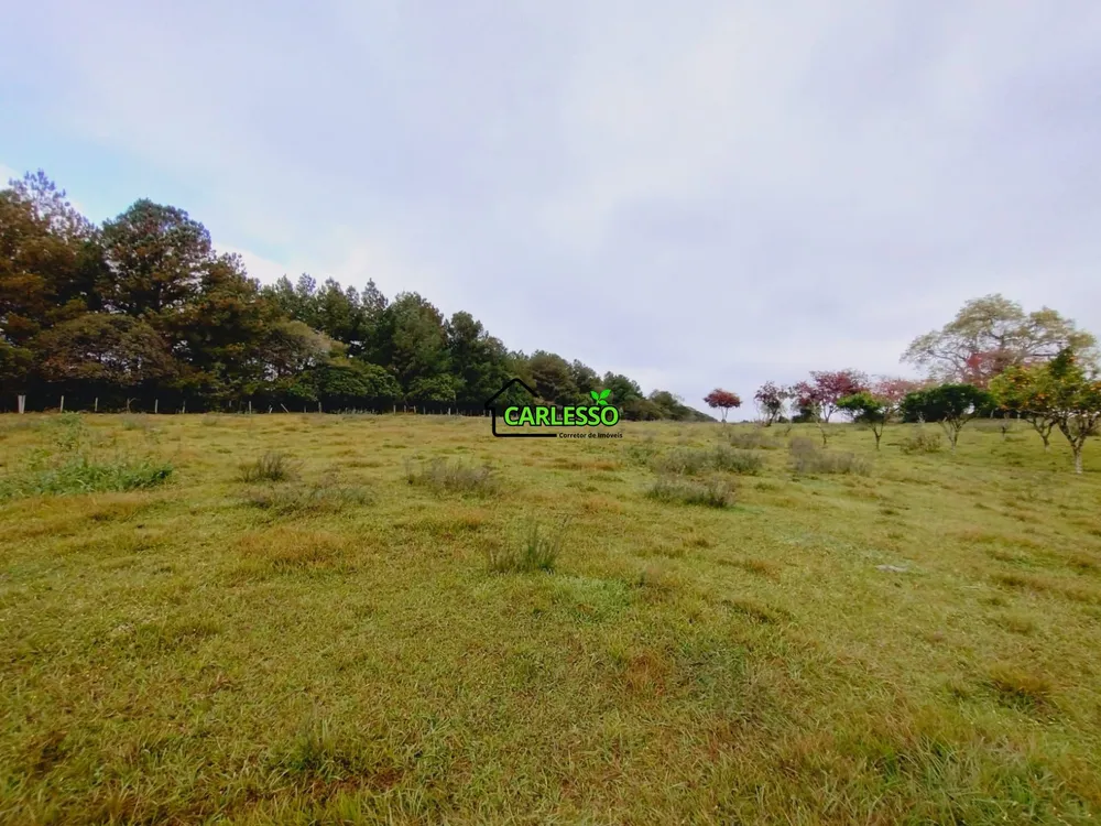 Chácara, 6 hectares - Foto 2