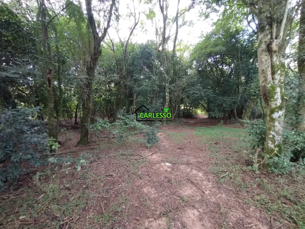 Chácara, 6 hectares - Foto 9