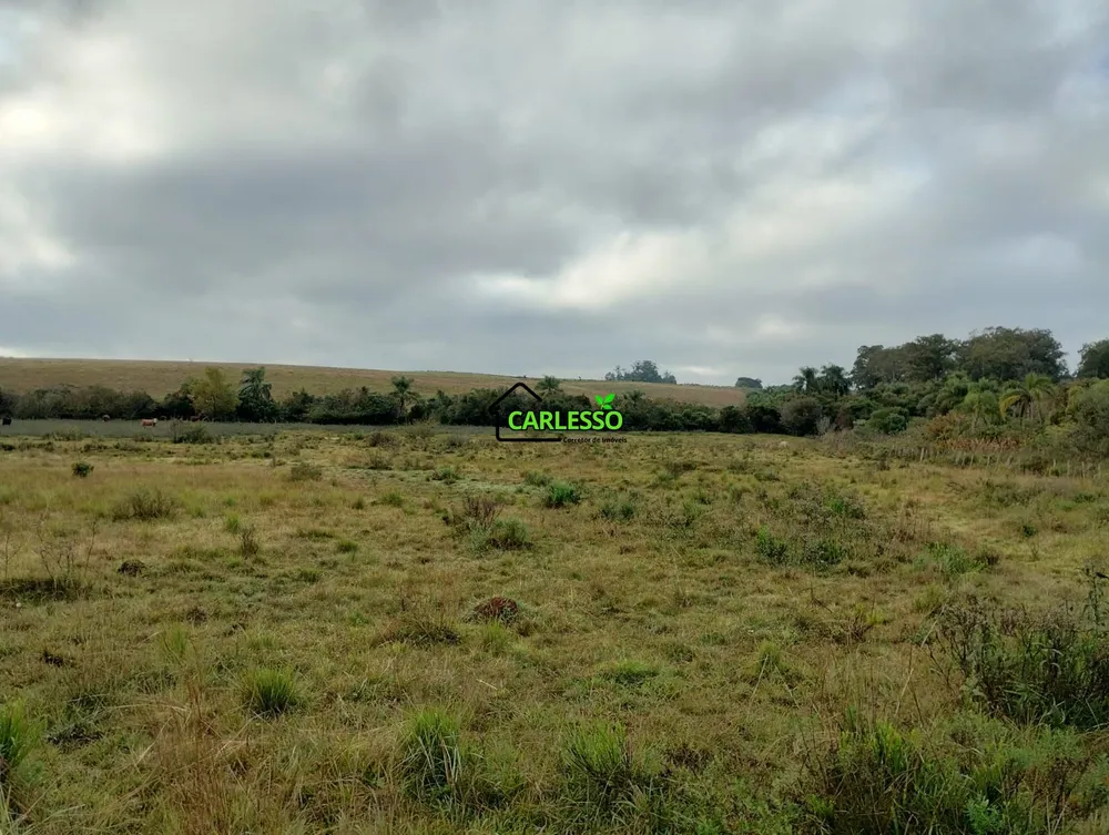 Chácara, 6 hectares - Foto 6