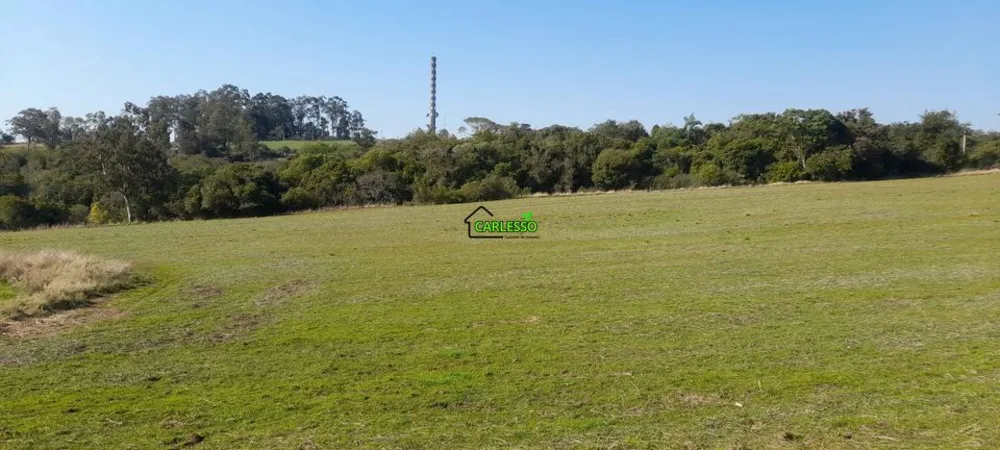 Sítio, 4 quartos, 8 hectares - Foto 10