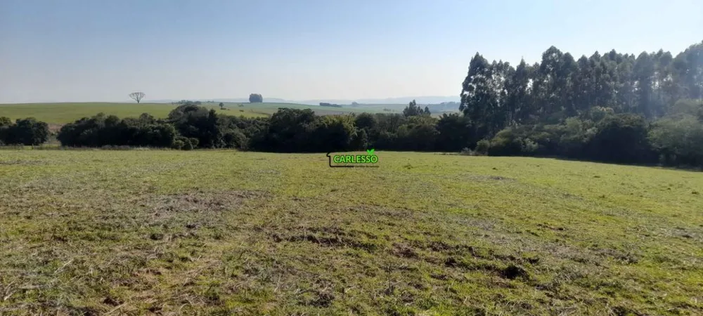 Sítio, 4 quartos, 8 hectares - Foto 14
