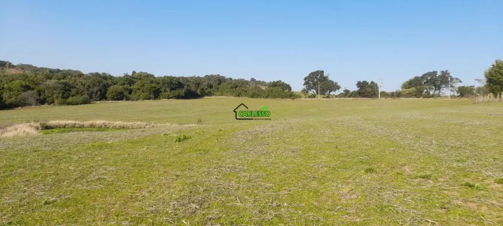 Sítio, 4 quartos, 8 hectares - Foto 11