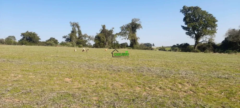 Sítio, 4 quartos, 8 hectares - Foto 15