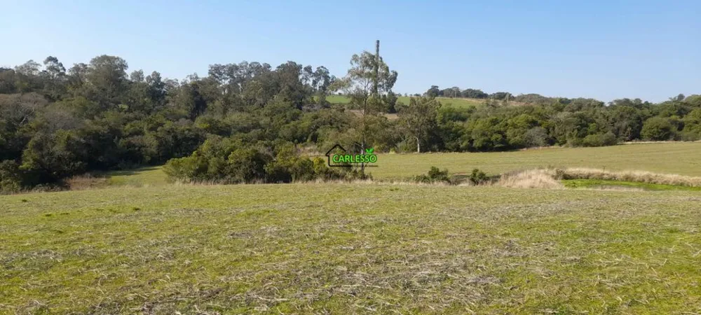 Sítio, 4 quartos, 8 hectares - Foto 8