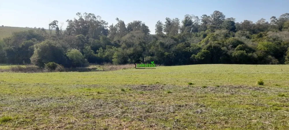 Sítio, 4 quartos, 8 hectares - Foto 12